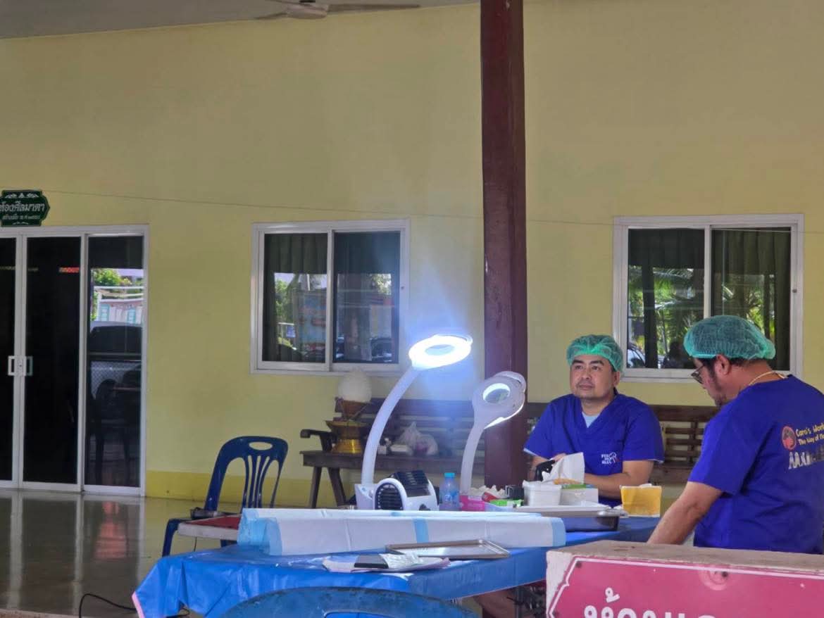 บริการทำหมันสุนัขฟรี และฉีดวัคซีนพิษสุนัขบ้าฟรี